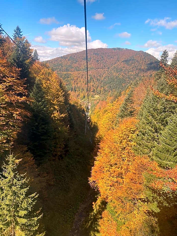 Restaurant Casa Nicolenco Azuga by Genco