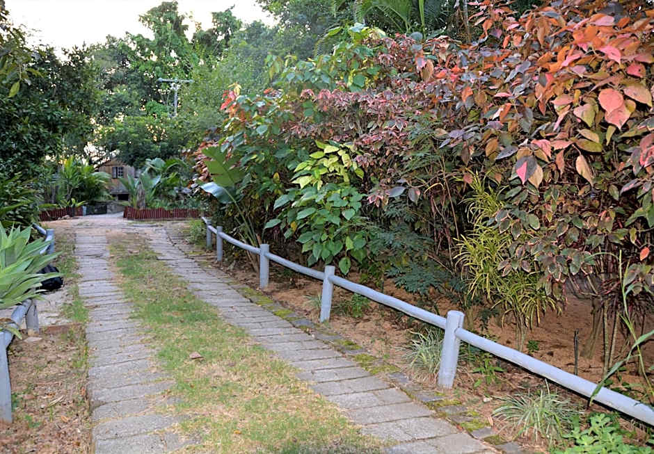 Hazyview Adventure Backpackers