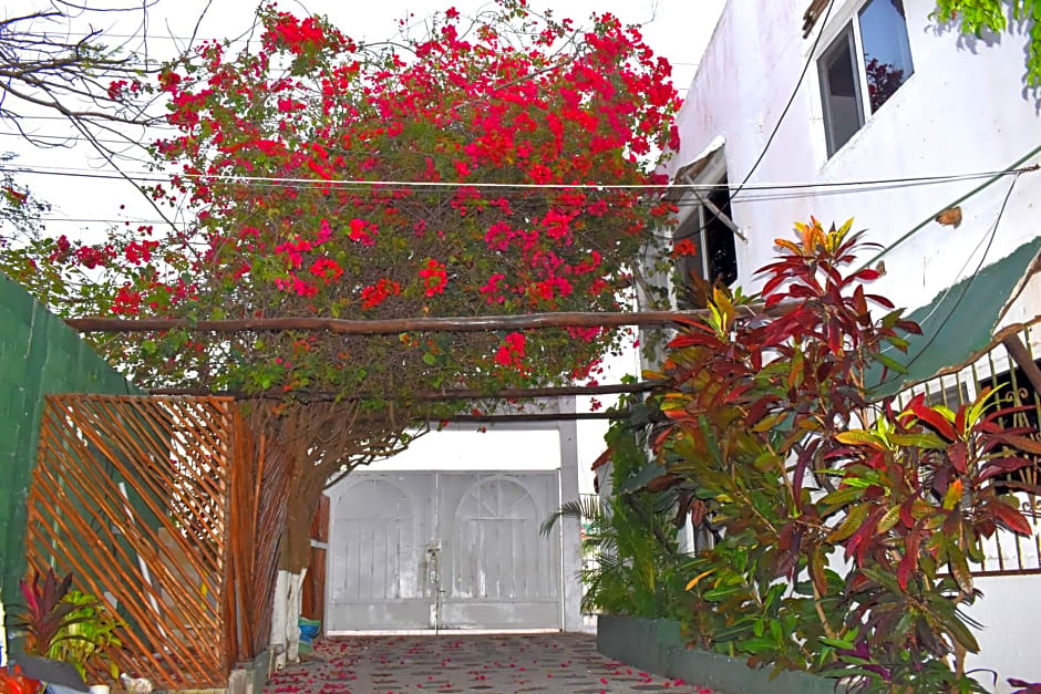 Lobo Inn Tulum
