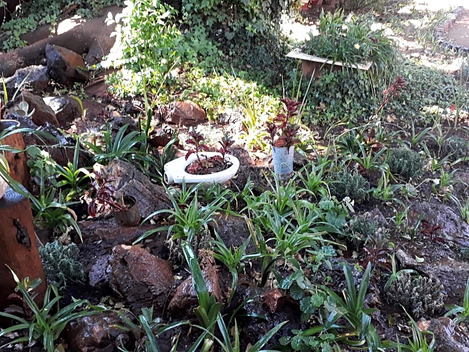 Upper Houghton Guesthouse