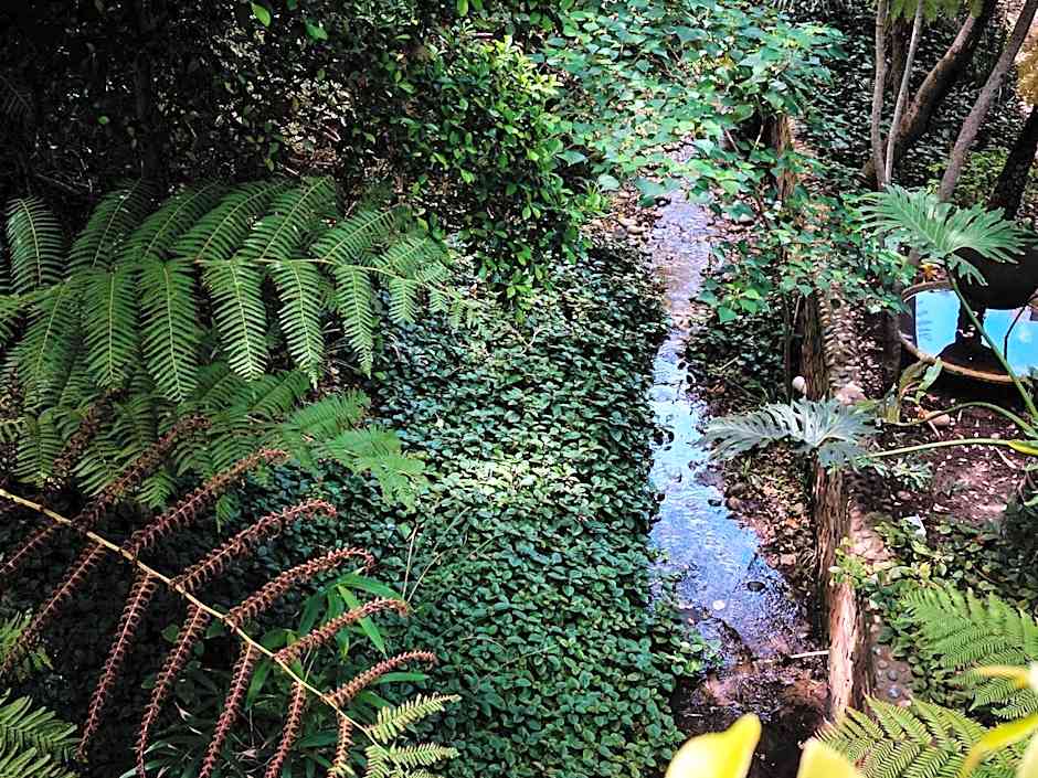 Cinnamon Boutique Guest House