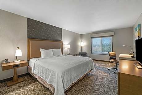 King Room with Mobility Accessible Roll-In Shower