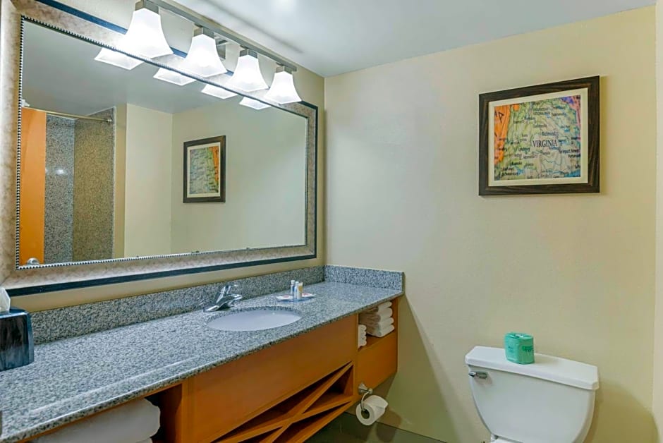 Comfort Suites At Virginia Center Commons