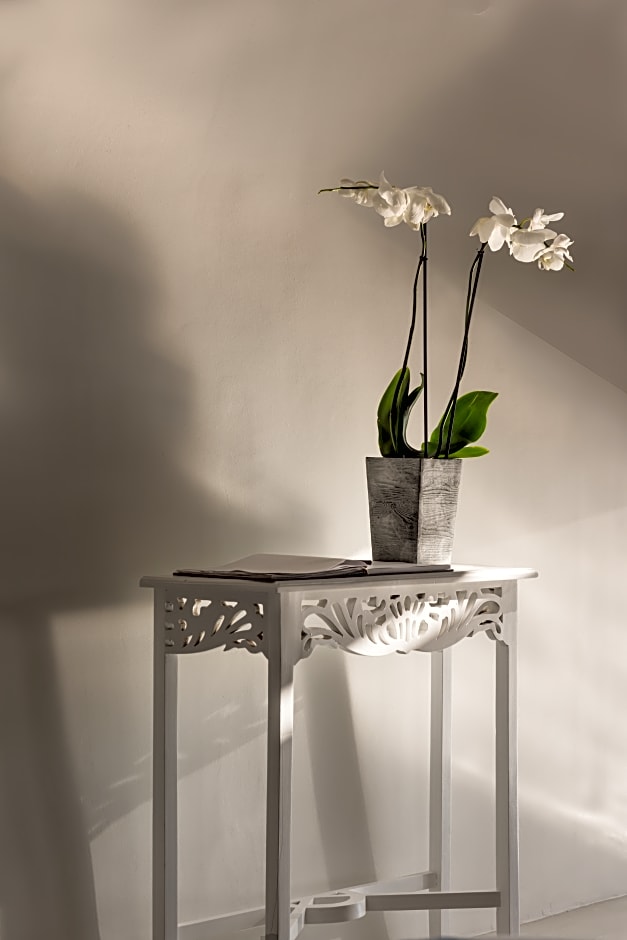 Alta Mare By Andronis