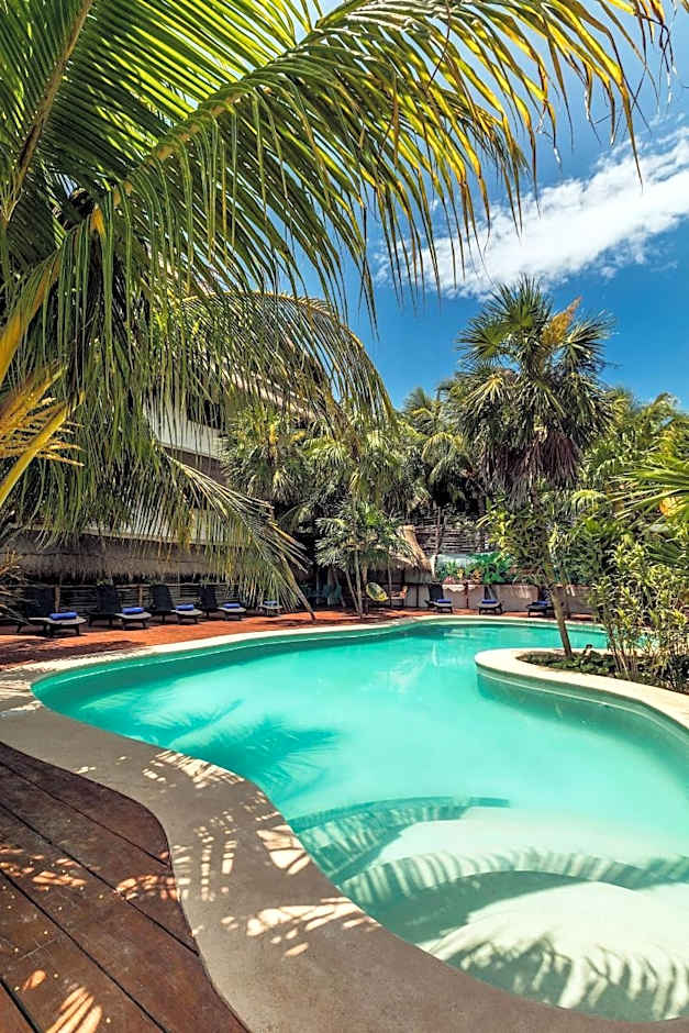 Tropical Suites by Mij