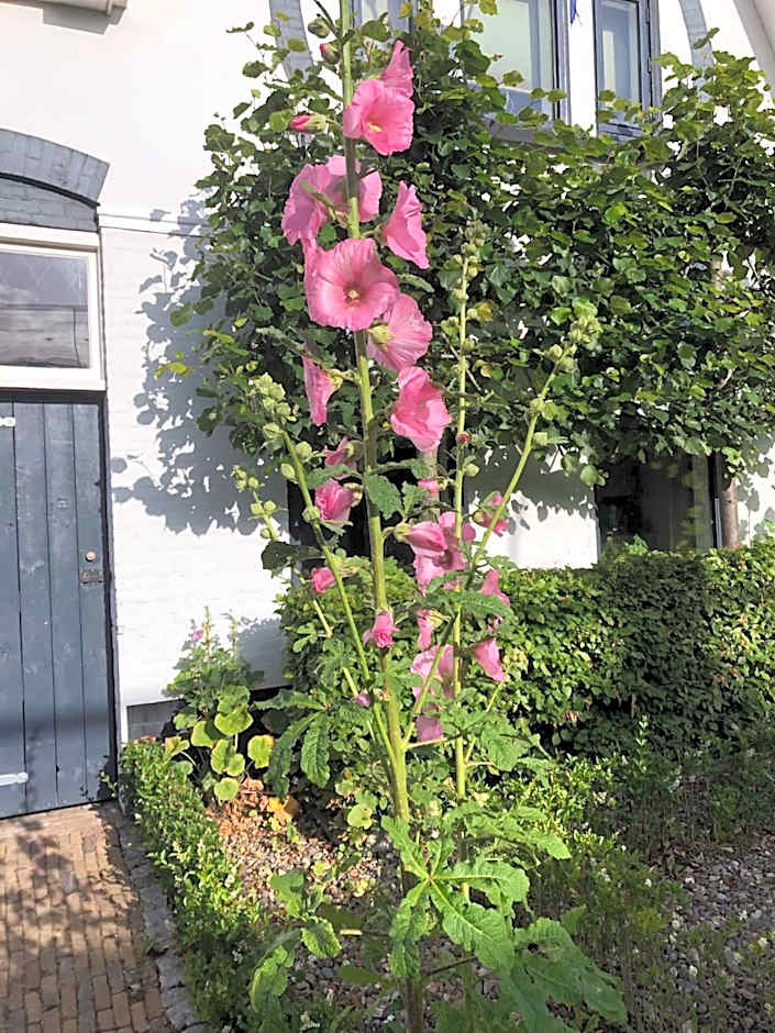 Bed & Breakfast Yerseke