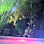 Palmas de Chahue