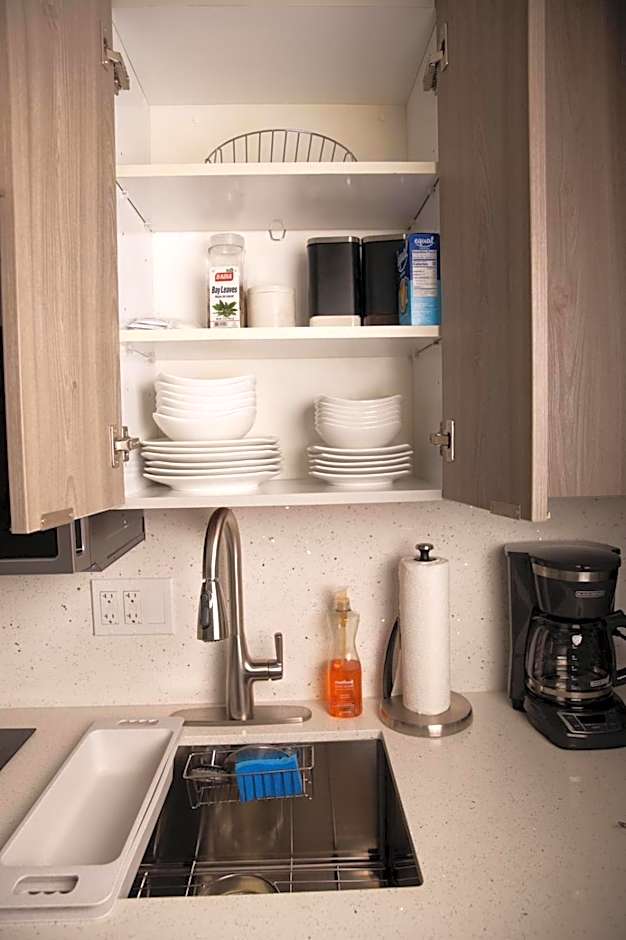 Modern and Luxurious Brickell Studio