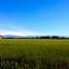 B&B Villafiorita