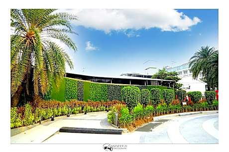 Mirasol Resort