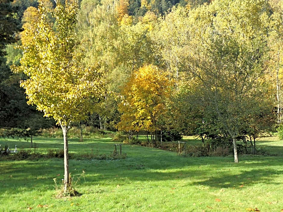 Hotel-Spa & Restaurant Logis Domaine Langmatt