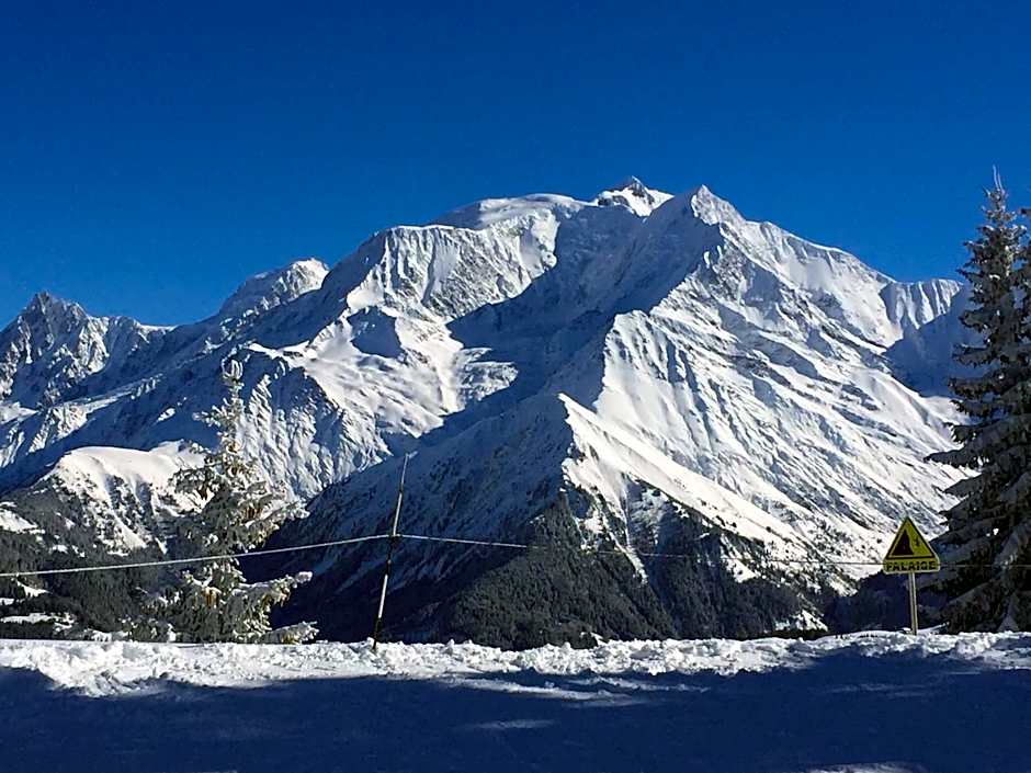 Luxury 2 Bedroom Apartment with view of Mont Blanc