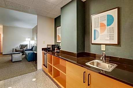King Suite with Sofa Bed - Accessible, Tub