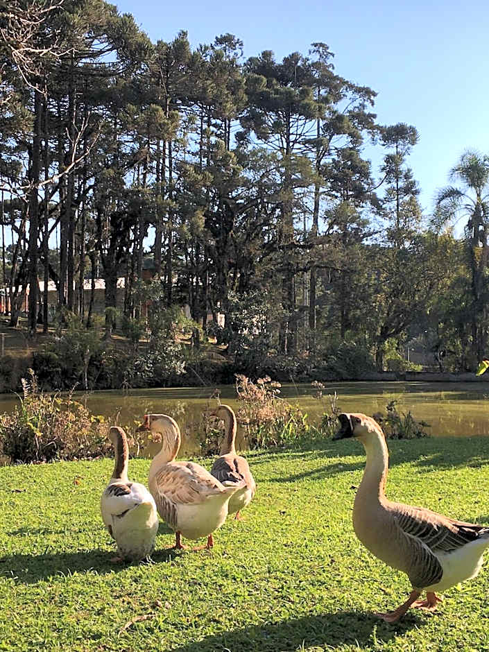 Filadélfia Hospedagens e Eventos