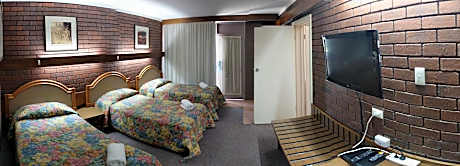 Triple 3 Single Beds