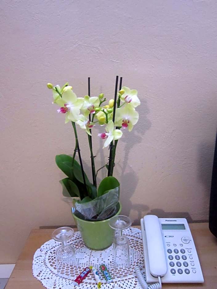 Guest House Veronika