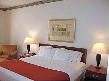 1 King Bed Non-Smoking