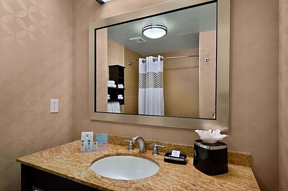 Hampton Inn By Hilton & Suites Tampa Northwest/Oldsmar