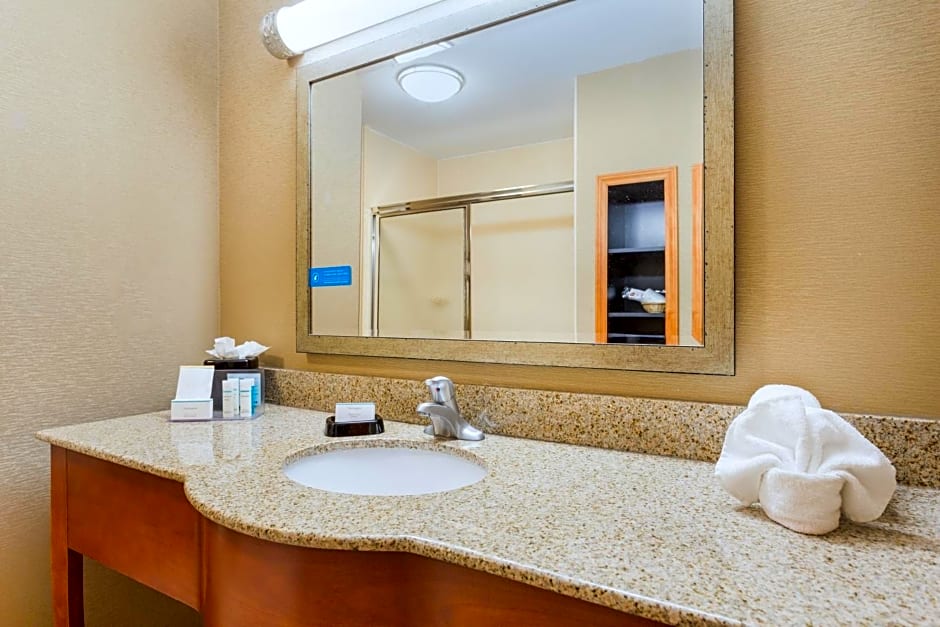 Hampton Inn Petersburg - Southpark Mall