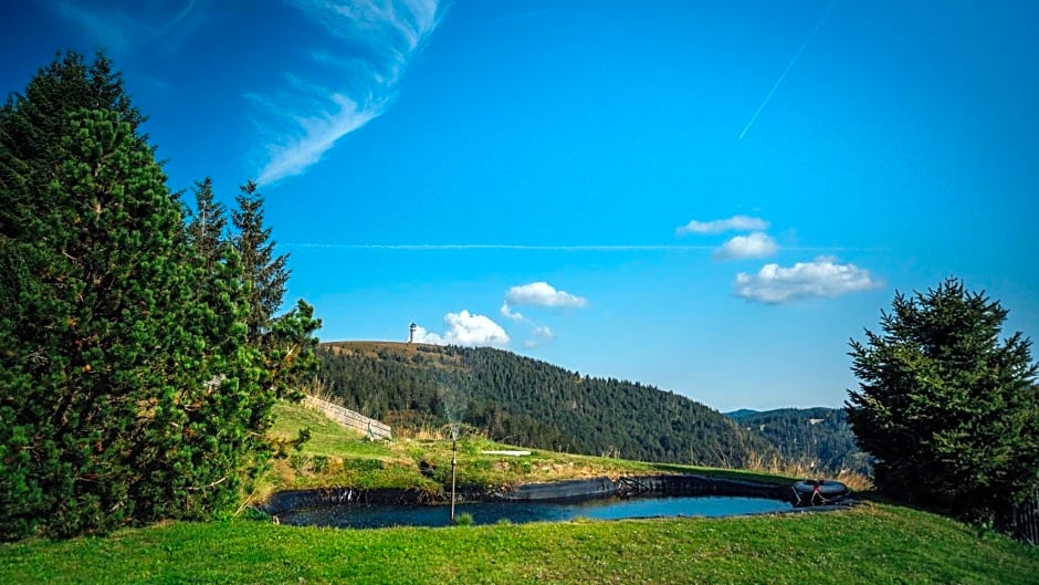 Berggasthof zur Todtnauer Hütte