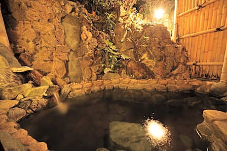 Japanese-Style Single Room with Shared Bathroom (One Adult Only)