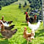 Feriengut Hasenau