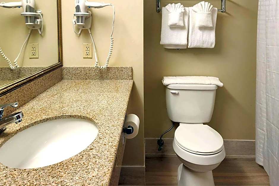 Comfort Inn & Suites Mount Pocono