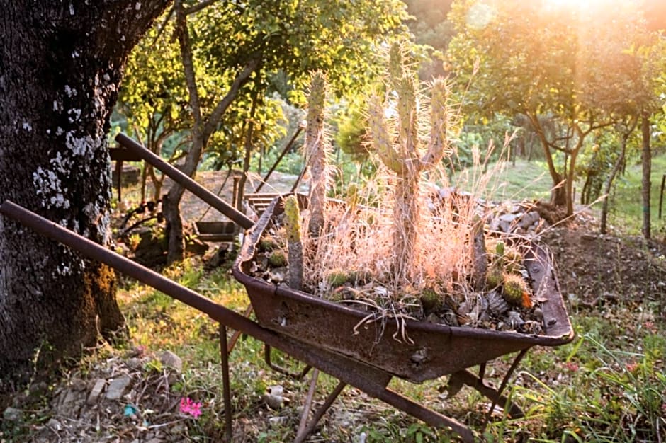 Casale storico nella campagna cilentana