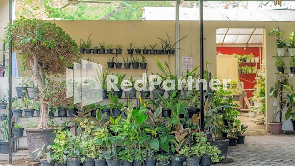 Vandhela Homestay Syariah Mitra RedDoorz