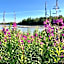 Susitna River Lodging, Suites