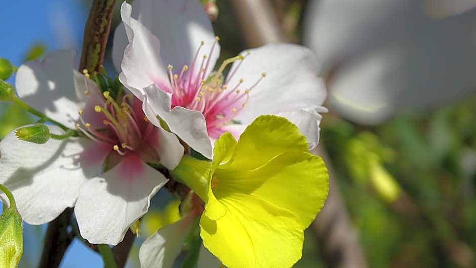 Résidence Saint Michel