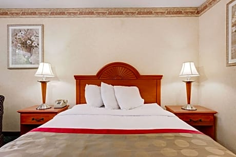 1 Queen Bed Accessible Non-Smoking Room