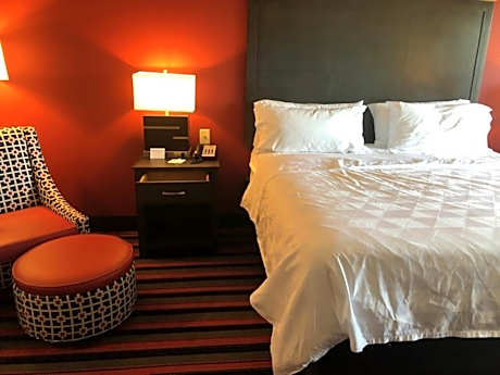 Standard King Suite