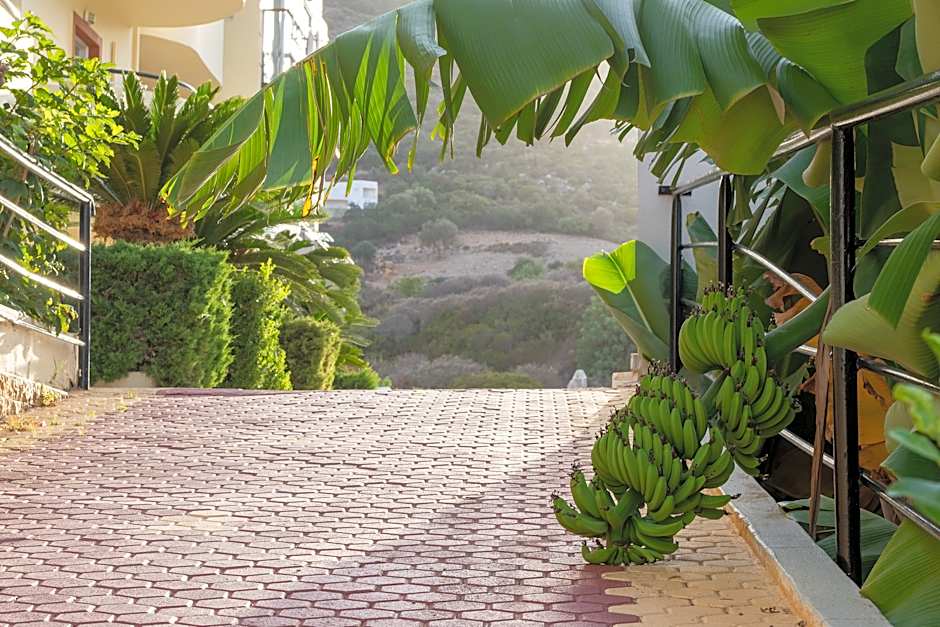 Elpis Studios & Apartments