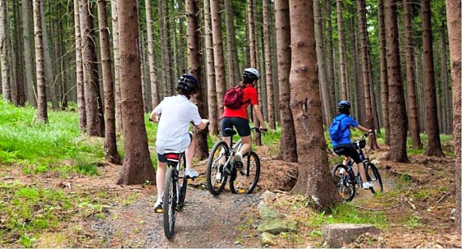 Rekerlanden 119 de Amandelbloesem