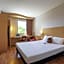 Ibis Plzen