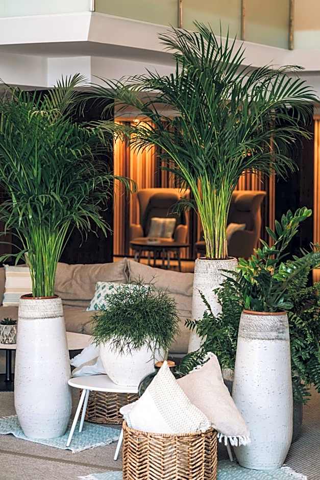 Iberostar Selection Playa de Muro Village