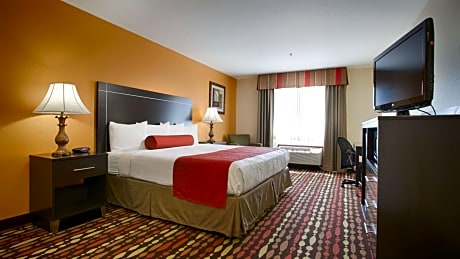 1 King Bed, Non-Smoking, Pet Friendly Room, High Speed Internet Access, Microwave And Refrigerator, 