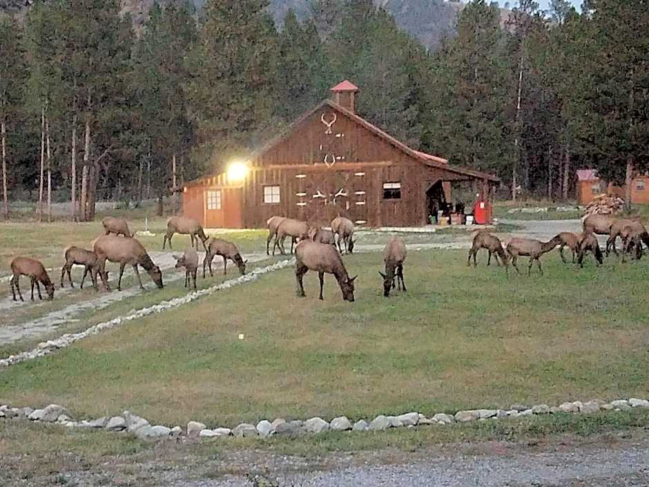 The Wild Game Inn