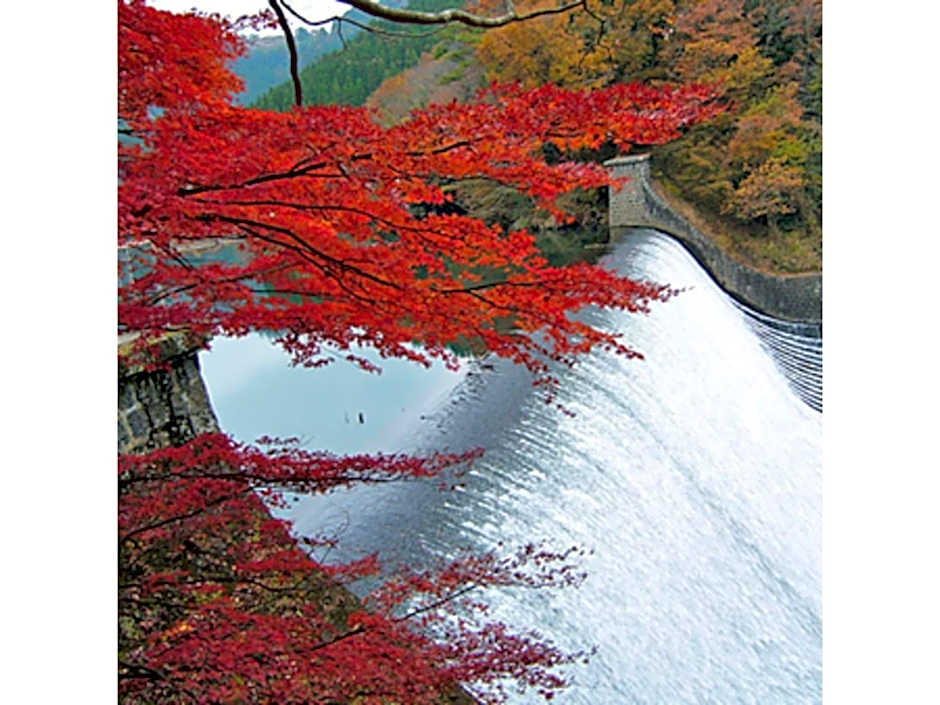 Resonate Club Shape - Vacation STAY 60135v