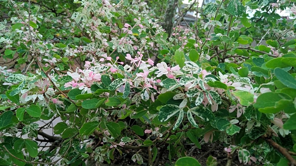 Grand 7 Hotel Thalawathugoda