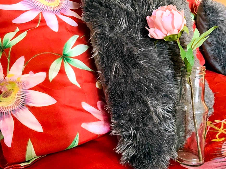 La Fleur et Le Soleil (F&S)