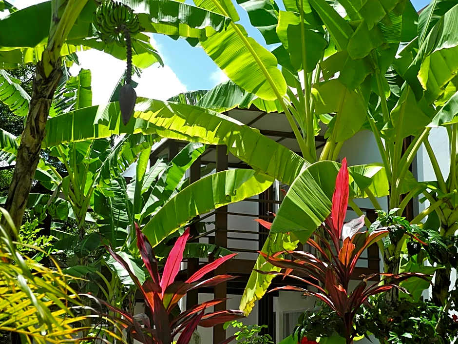 La Reserve Design Villa IDA