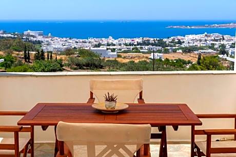 Panoramic View House