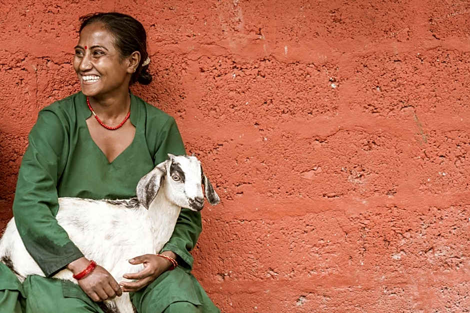 The Pavilions Himalayas The Farm