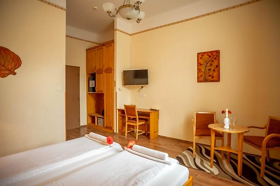 Hotel Manzard Panzio