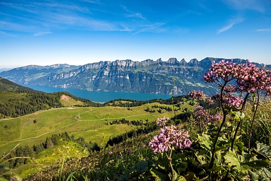 ALTE SEKTION und Alpenblick