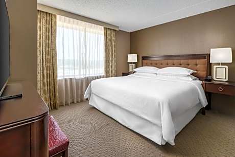 Club lounge access, Suite, 1 King, Sofa bed