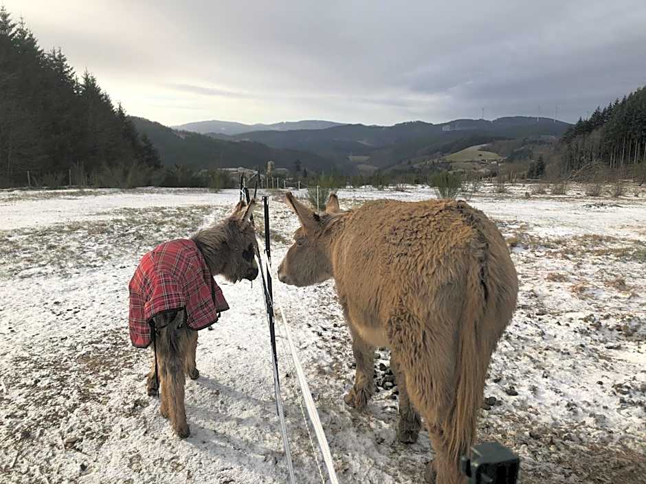 LE CHALET de la goutte
