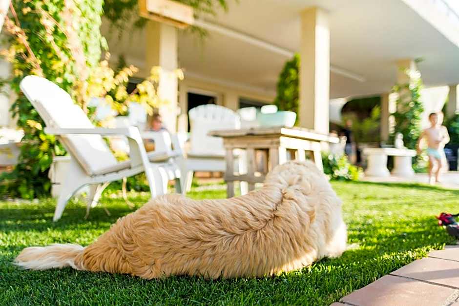 Hotel El Balcon de las nieves